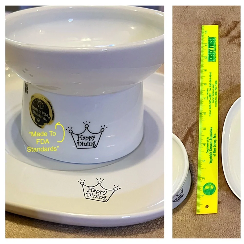 NECOICHI Porcelain Cat Food Bowl and Dining Tray with boxes Raised Bowl